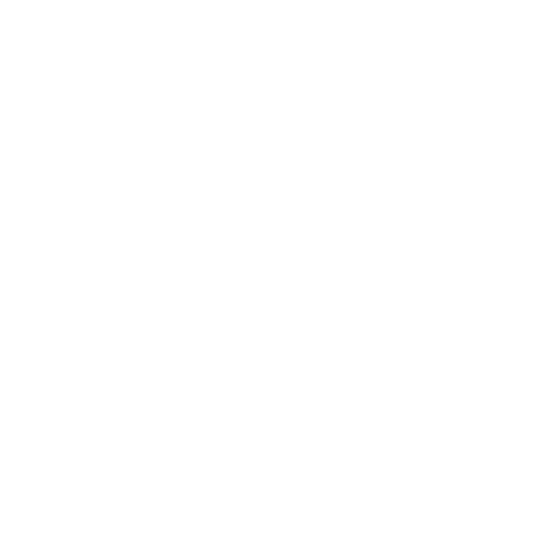 Ceylon Niutri Limited Logo